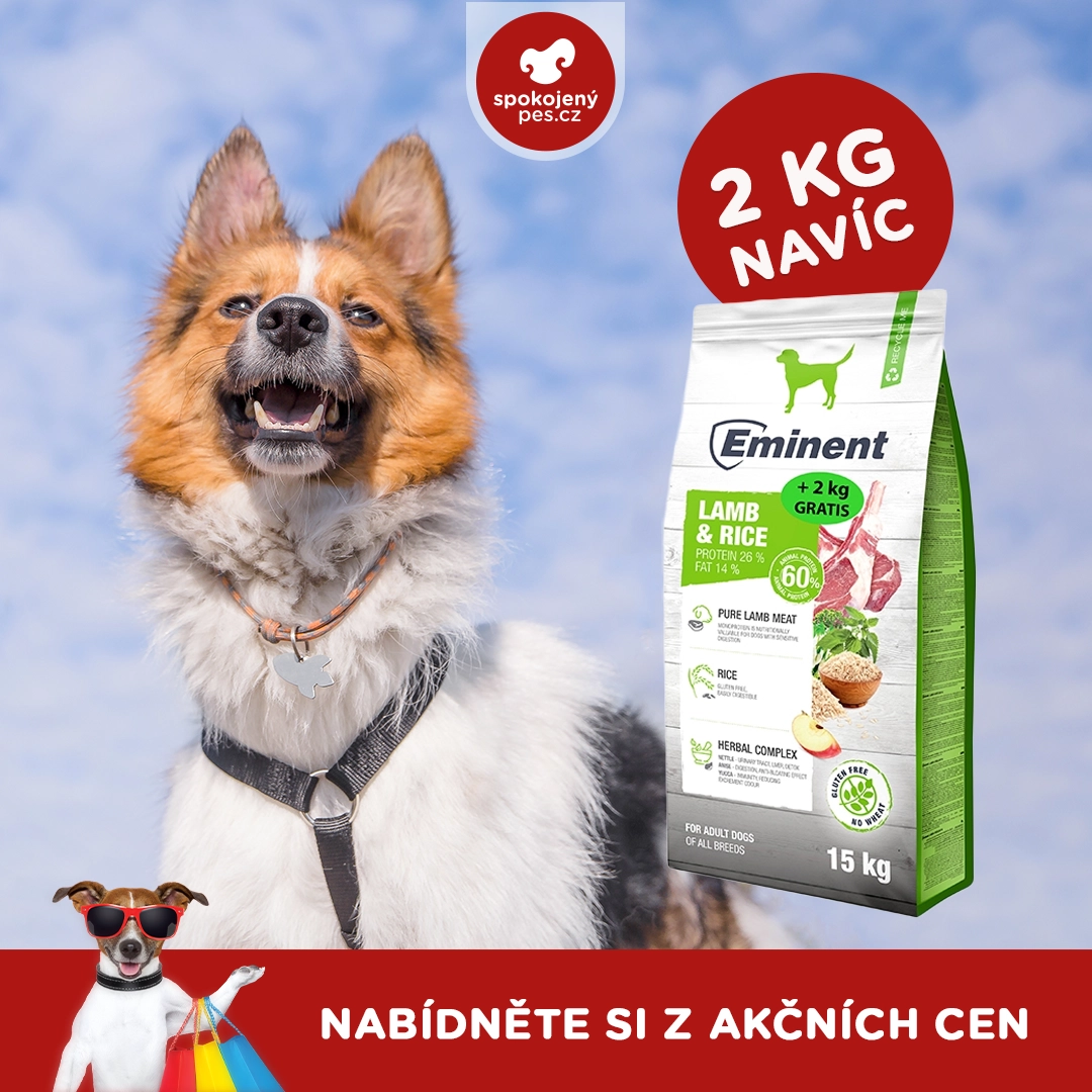 dog eminent.webp